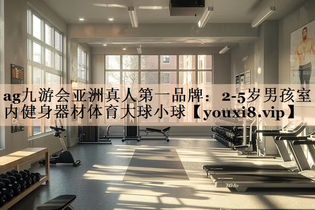 <strong>ag九游会亚洲真人第一品牌：2-5岁男孩室内健身器材体育大球小球</strong>